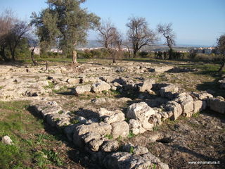 tapiccola-13-01-2013 09-19-05